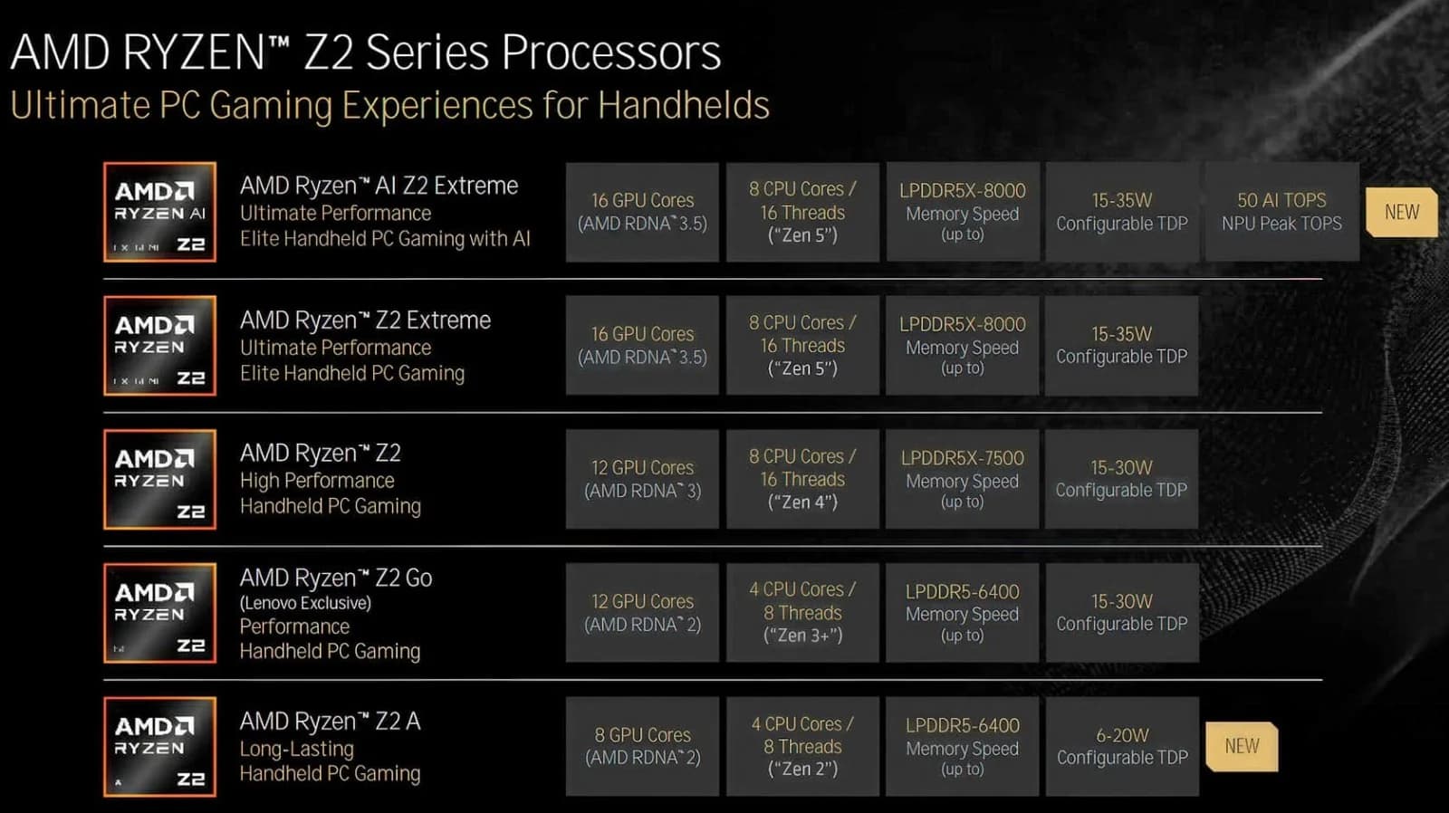 AMD Z2 Models