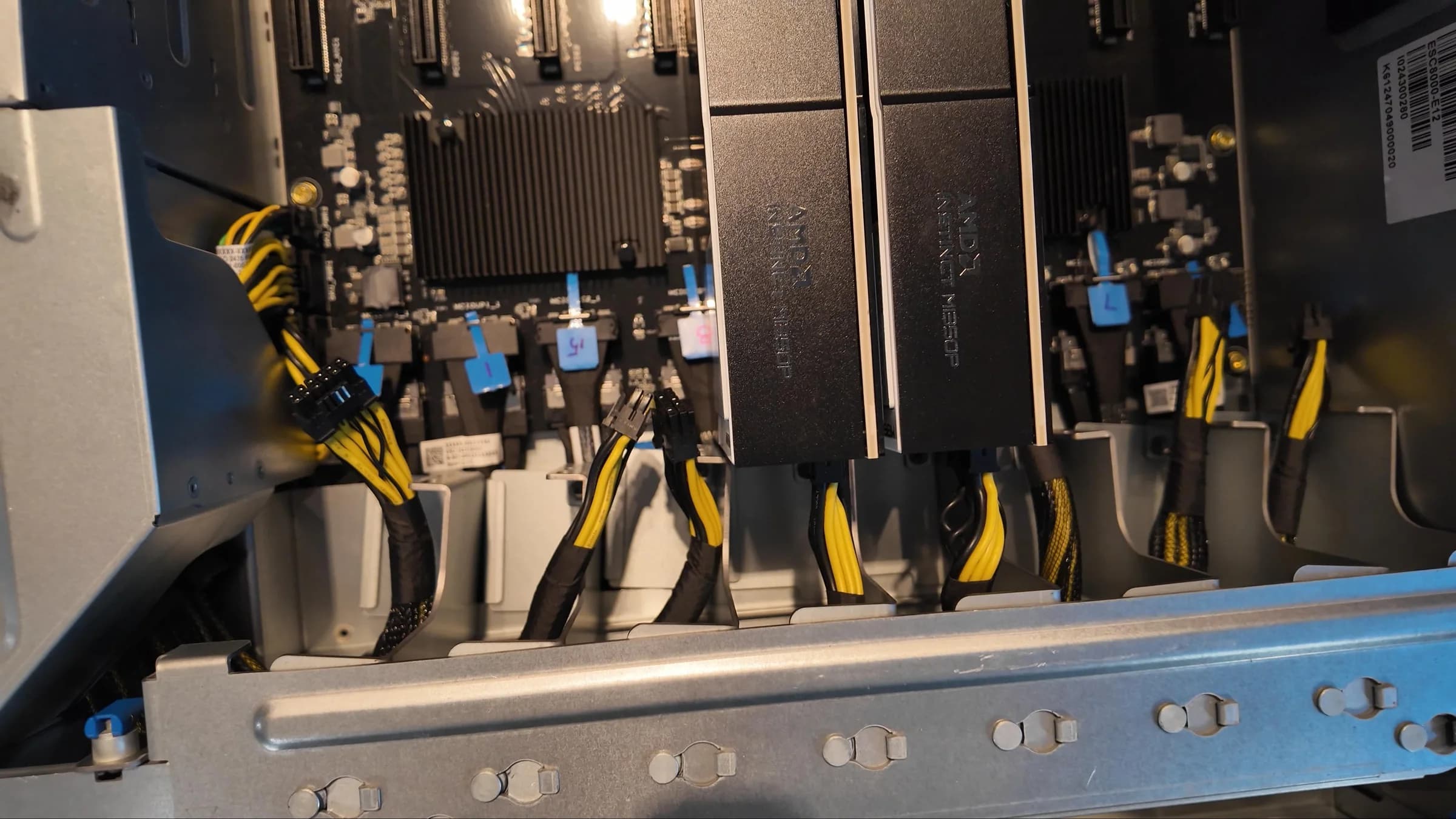 AMD (7)