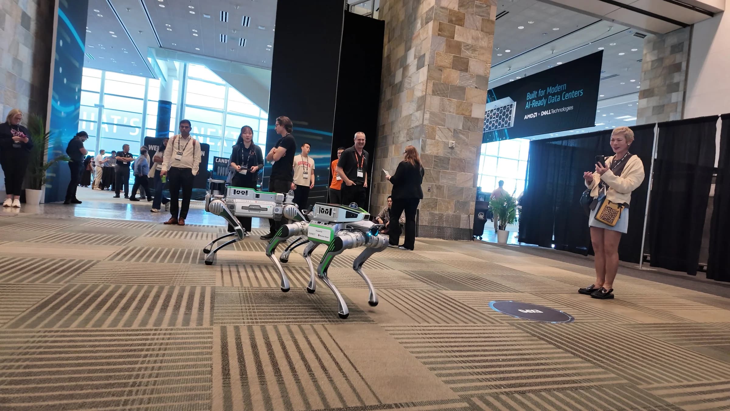 Robotica AMD 01